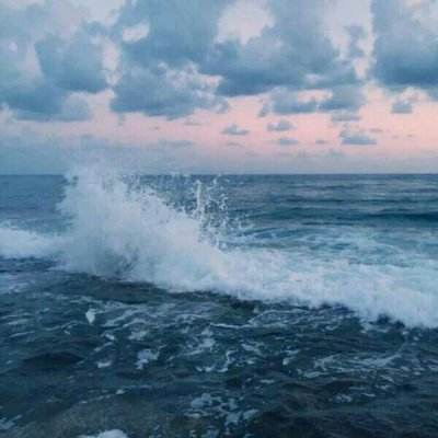 海王捕鱼官方最新版下载